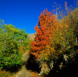 Color-photography gallery Color photography gallery