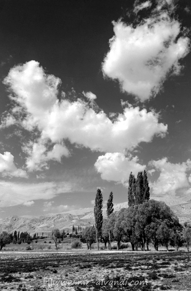 The clouds and trees in Arjomand village, درخت و ابر در ارجمند