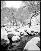 The beautiful river and trees of Darabad Valley on a snowy day