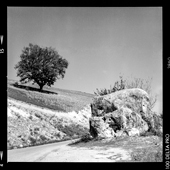 Mountain roads of Mazandaran province
