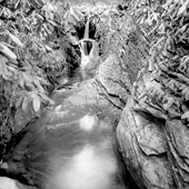 Mark Hilliard photo 3 Mark Hilliard photo-3