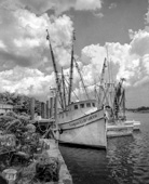 Mark Hilliard photo 4 Mark Hilliard photo-4