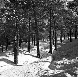 Black & White gallery Black and white gallery