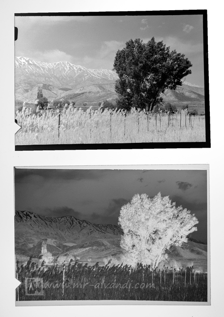 Fortepan 200 6x9 sheet film, slide and negative with normal exposure