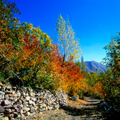 Ahhar village in the fall