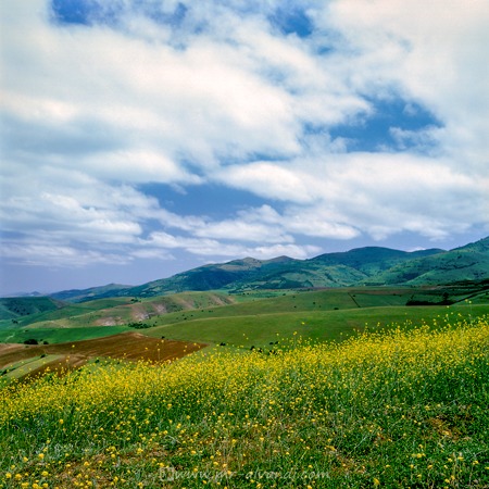 Azerbaijan plains covered with flowers, آذربایجان با دشتهای پوشیده از گل