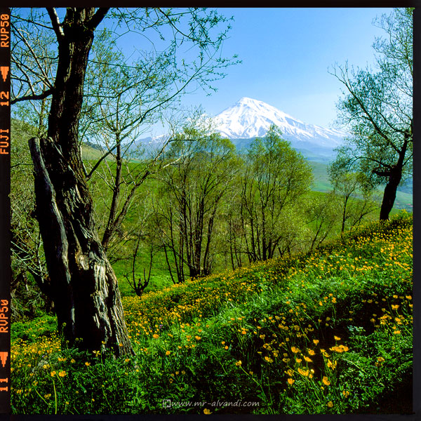 Damavand Peak from the Polour region Damavand Peak from the Polour