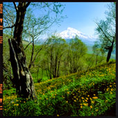 Damavand Peak from the Polour