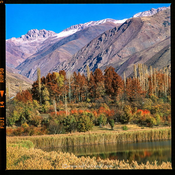 Autumn at Lake Evan Colorful autumn at Evan Lake