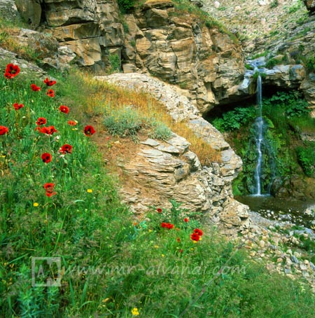 Waterfall in the Kaleibar and poppies, آبشار در کلیبر و گلهای شقایق
