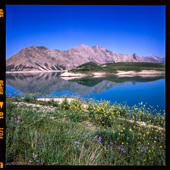 The colorful flowers of the beautiful Lar lake