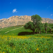 Polour in near Mount Damavand