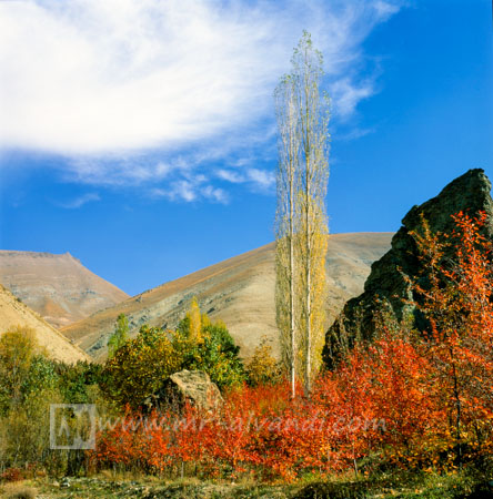 Shahrestanak and autumn in the gardens, شهرستانک و پاییز در باغهای آن