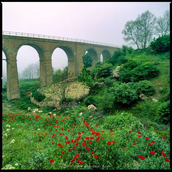 Shurab village railway bridge
