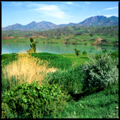 Taleghan Dam Lake